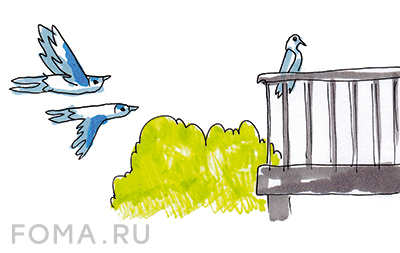 ������ � ������� ���� � ��������� ��� �����