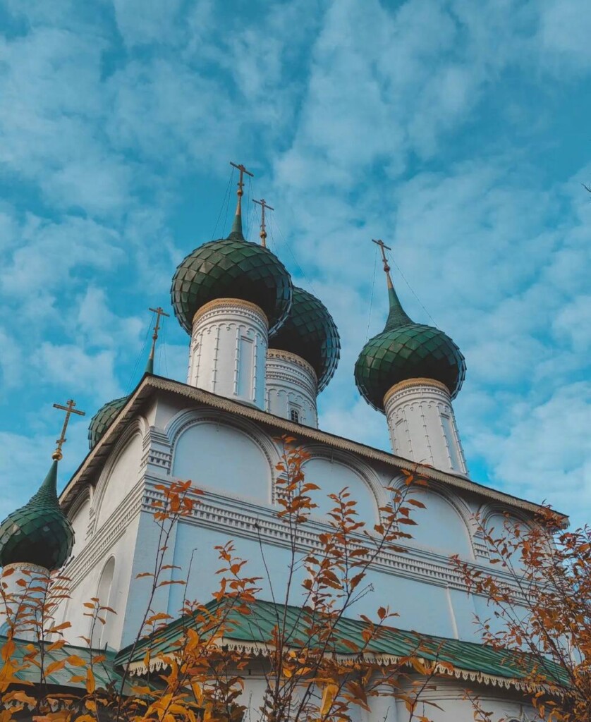 photo1666609668 (5)