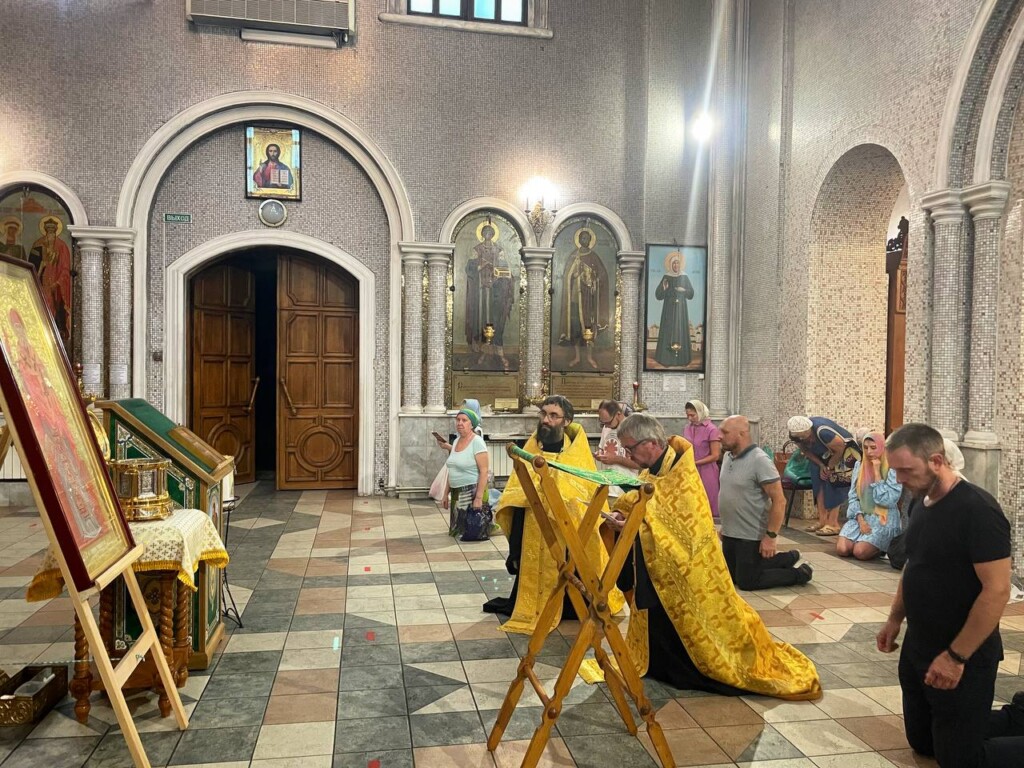 photo1660821962 (6)
