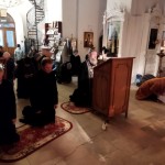 WhatsApp-Image-2022-03-09-at-18.39.25