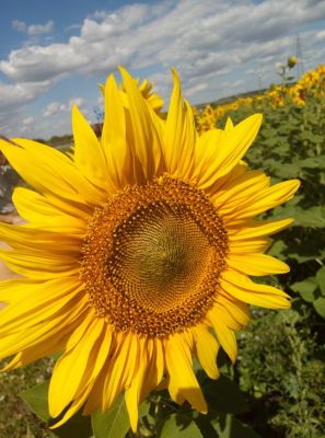 WhatsApp-Image-2022-08-01-at-102613-2