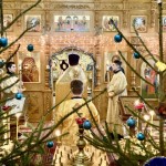 5066D441-D8C9-44BD-9C5E-6E4DD690832B