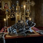 4F3C56E9-B4BC-4883-8918-C0DB94EE504F