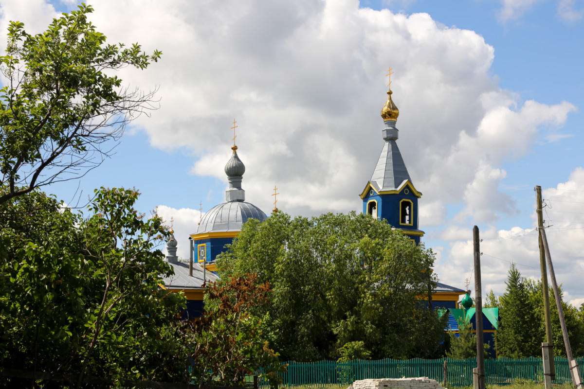 Плотниково притобольный. Боровлянка Притобольный район Курганская область. Боровлянка Курганская область Белозерский район. Село Боровлянка.